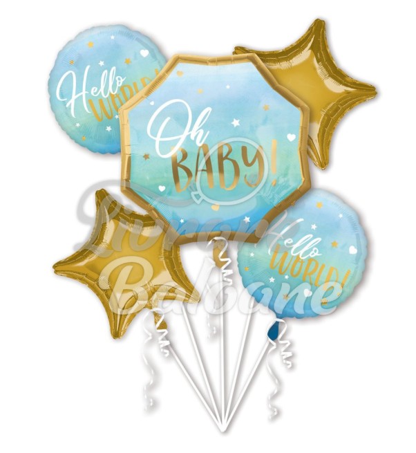 Гелиевые шары_Выписка из роддома (LB-14011)