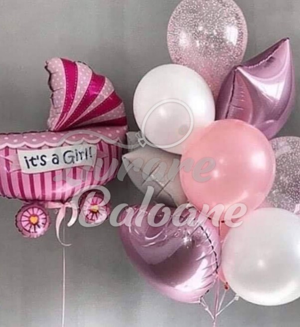 Выписка из роддома_Девочка (LB-14019)