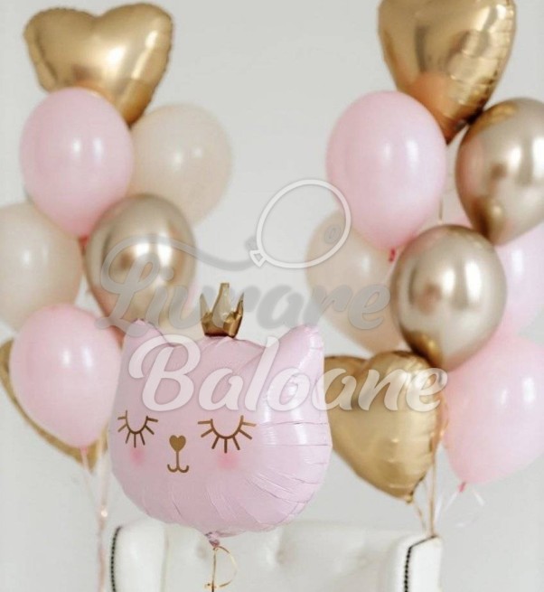 Set_Baloane_cu_Heliu_şi_Pisicǎ (LB-12033)