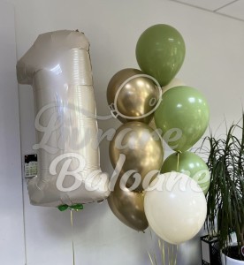 Set Baloane cu Heliu (LB-13064)