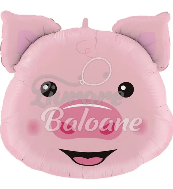 Balon cu Heliu_CAP de PURCELUȘ