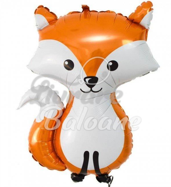 Balon cu Heliu_Vulpea pădurii