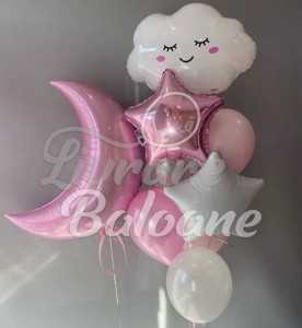 Baloane cu Heliu_Nou Născut_FETIȚĂ (LB-14056)