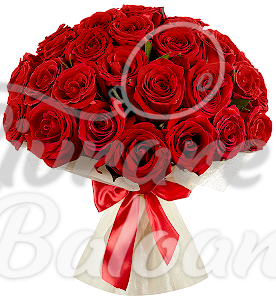 Букет из 35 КРАСНЫХ РОЗ