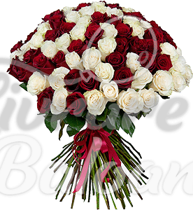 Buchet din 51 Trandafiri Albi-Roșii