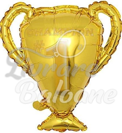 Cupa Campionilor_Ești Numărul 1