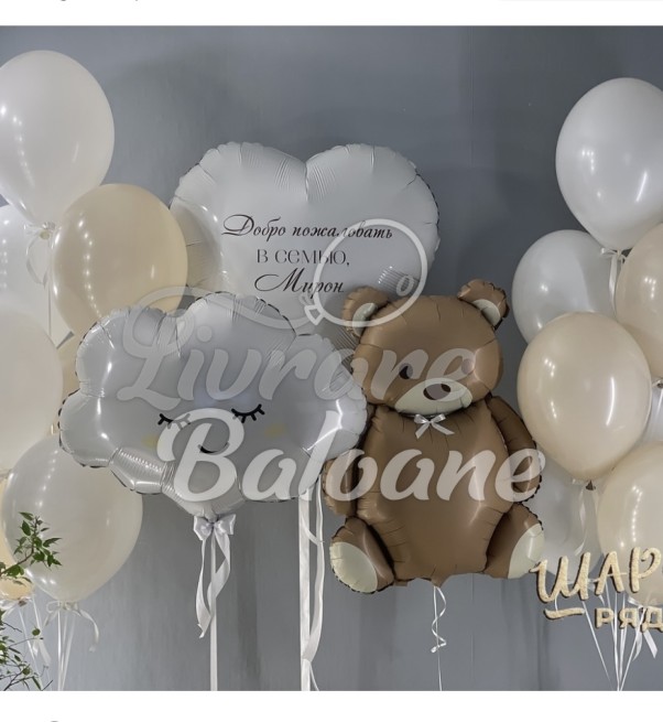 Mini Decor_Baloane pentru Externare (LB-14074)