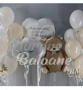 Mini Decor_Baloane pentru Externare (LB-14074)