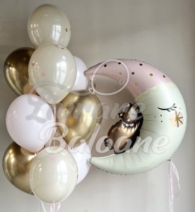 Baloane pentru Externare_Nou Născut FETIȚĂ (LB-14076)