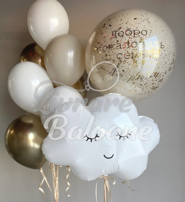 Baloane_Externare_din_Maternitate (LB-14081)