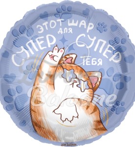 Balon cu Heliu (LB-19125)