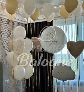 Baloane_Bine ai venit acasă_Externare din Maternitate (LB-14093)