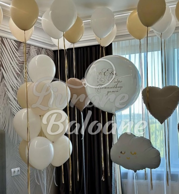 Baloane_Bine ai venit acasă_Externare din Maternitate (LB-14093)