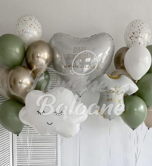 Mini-Decor cu Baloane_Externare din Maternitate (LB-14098)