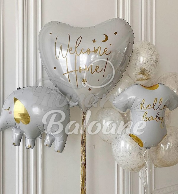 Set Baloane cu Heliu și Inscripție_Nou Nǎscut (LB-14099)