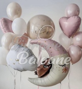 Baloane pentru Externare_Nou Nǎscut (LB-14101)