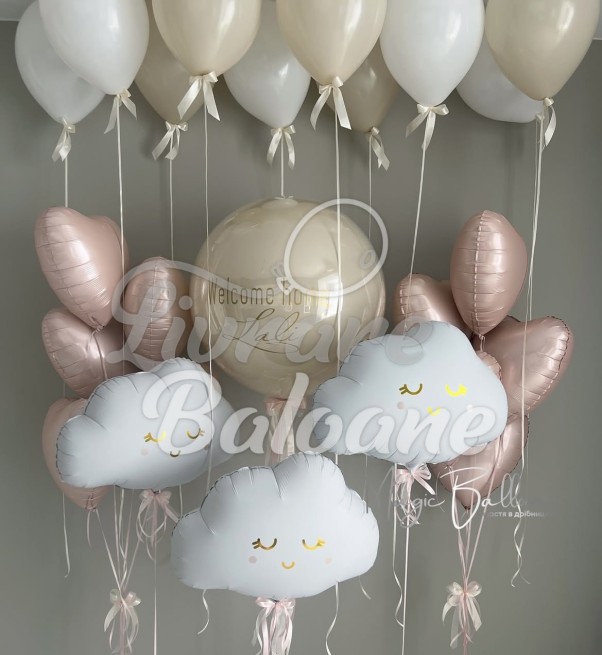 Baloane cu Heliu_Externare din Maternitate_FETIȚĂ (LB-14106)