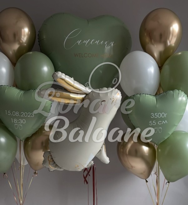 Baloane Personalizate cu Heliu pentru Externare (LB-14108)