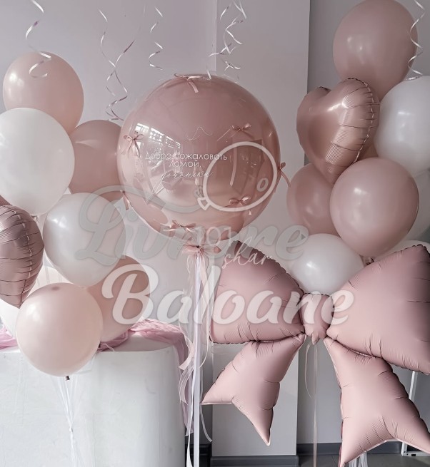 Baloane cu Heliu_Externare din Maternitate_FETIȚĂ (LB-14111)