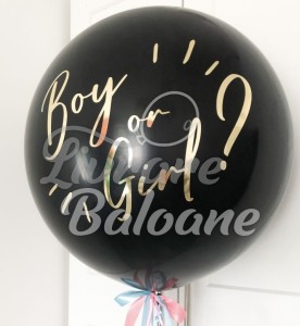 Гелиевый шарик_МАЛЬЧИК или ДЕВОЧКА 80 см (LB-23001)