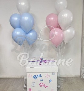 Воздушные шары для ГЕНДЕРНОЙ ВЕЧЕРИНКИ (LB-23007)