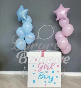 ГЕНДЕРНАЯ ВЕЧЕРИНКА с воздушными шарами (LB-23012)