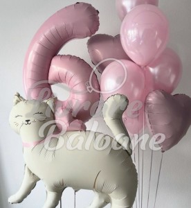 Baloane pentru Fetițǎ cu Cifra și Pisicǎ (LB-130027)