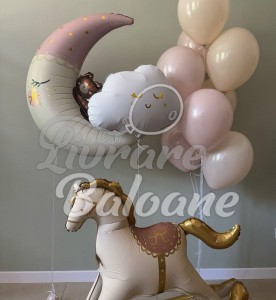 Baloane cu Heliu_Externare din Maternitate_Nou Nǎscut - FETIȚǍ (LB-14116)