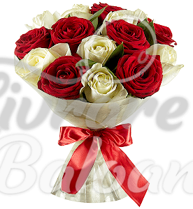 Buchet din 15 Trandafiri Albi-Rosii 60 cm