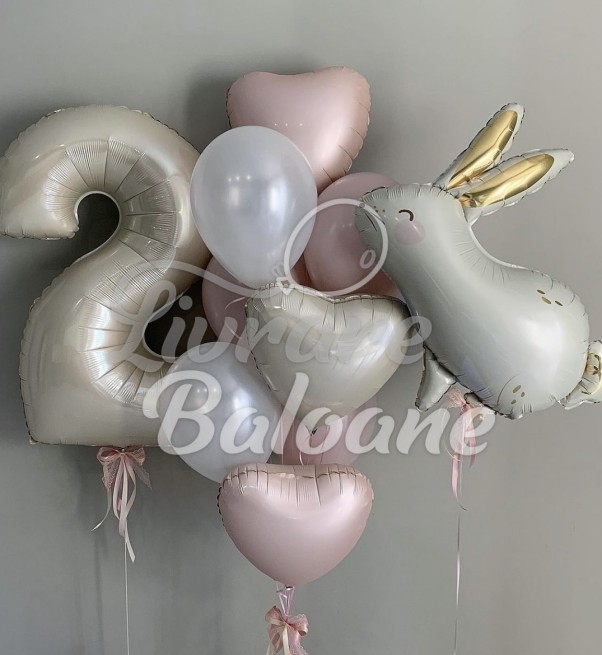 Baloane cu Heliu Copii (LB-13076)