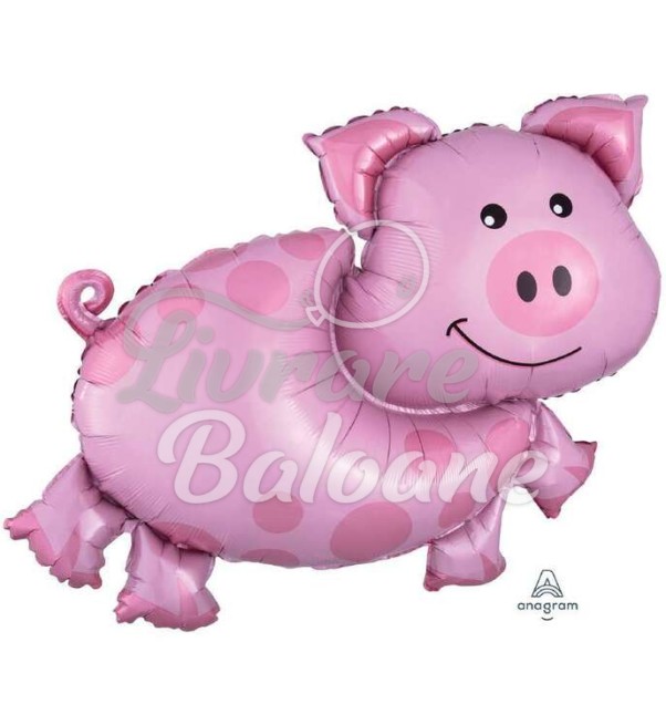 Balon cu Heliu_Purceluș Jucăuș