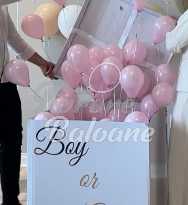 Cutie pentru GENDER PARTY cu Baloane (LB-23003)