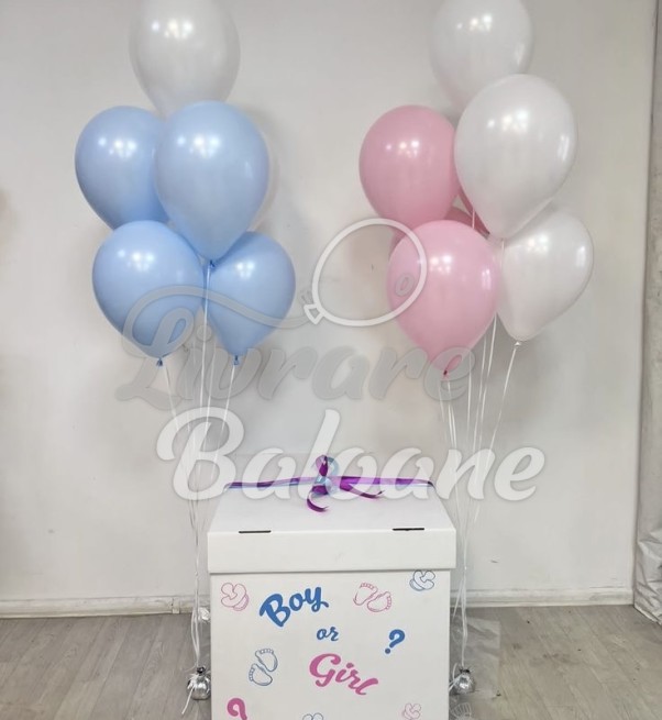 Baloane pentru Petrecere GENDER PARTY (LB-23007)