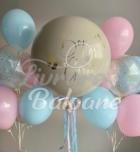 GENDER PARTY_Boy or Girl (LB-23009)