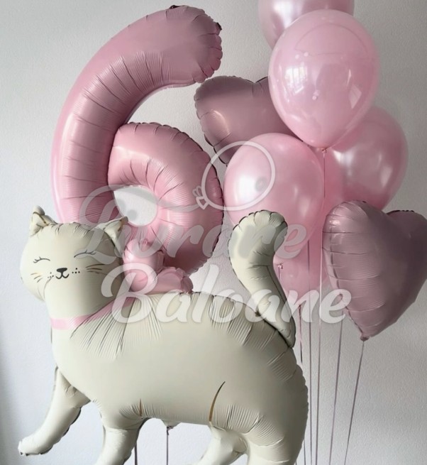 Baloane pentru Fetițǎ cu Cifra și Pisicǎ (LB-130027)