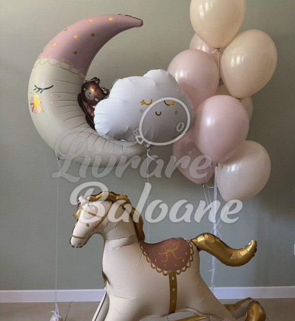 Baloane cu Heliu_Externare din Maternitate_Nou Nǎscut - FETIȚǍ (LB-14116)