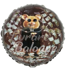 Căpitanul succesului_balonul hamster (LB-24028)